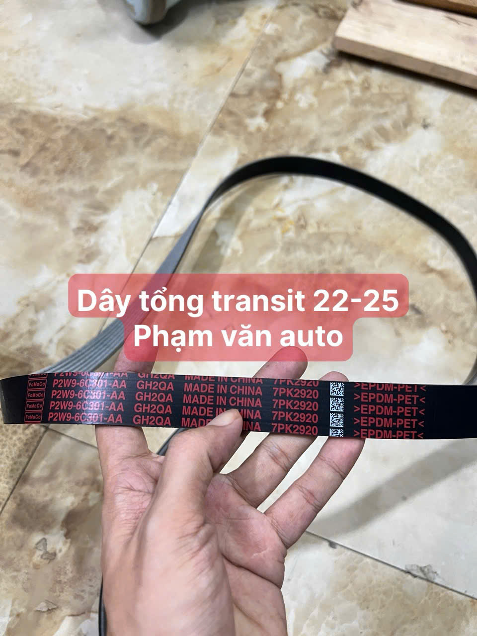 Dây Curoa Tổng Ford Transit 7pk2920 - Dây Beo Ford Transit 2022-2025 Chính Hãng Giá Tốt Phạm Văn Auto